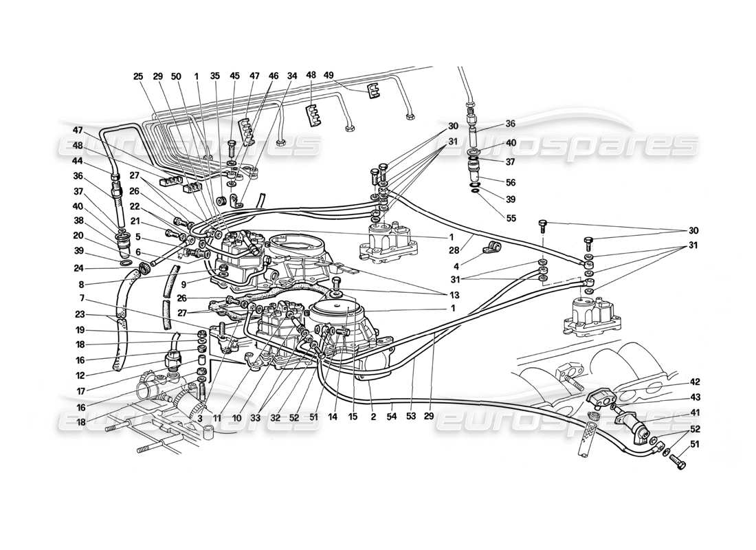 ferrari testarossa (1987) fuel distributors lines (k-jetronic system) part diagram