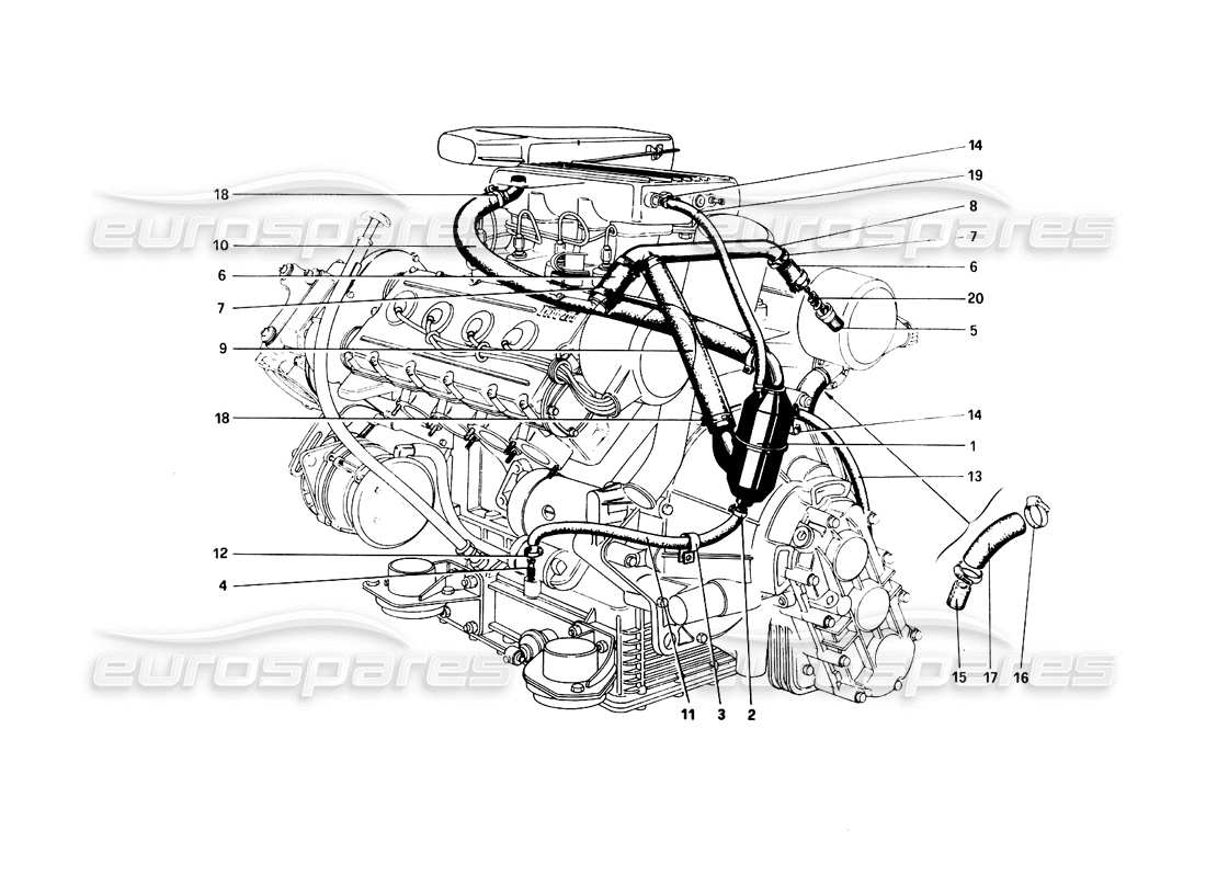 ferrari 308 quattrovalvole (1985) blow - by system part diagram