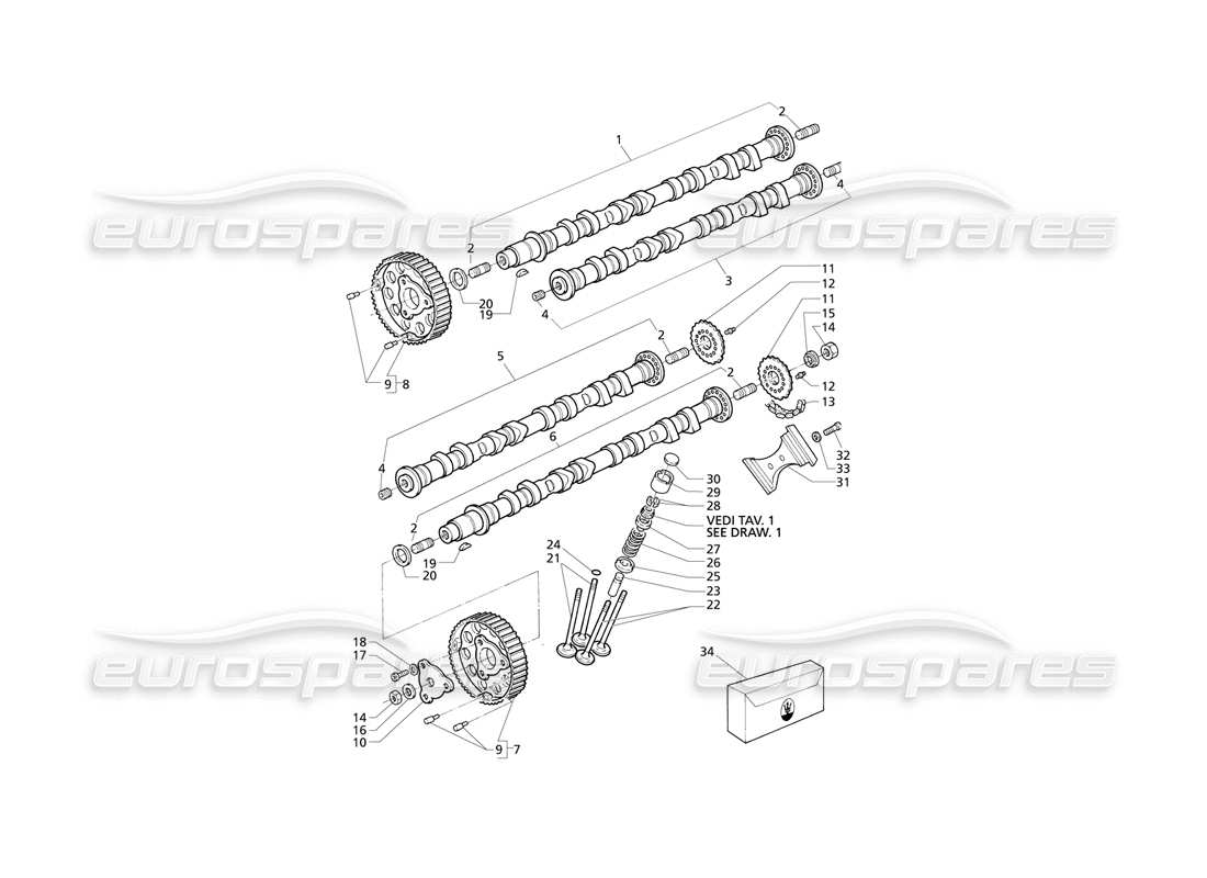 maserati qtp v8 evoluzione timing parts diagram