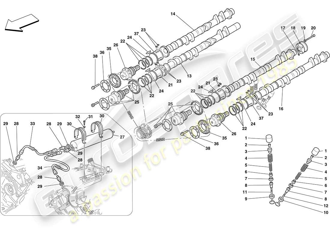 ferrari f430 coupe (europe) timing system - tappets part diagram