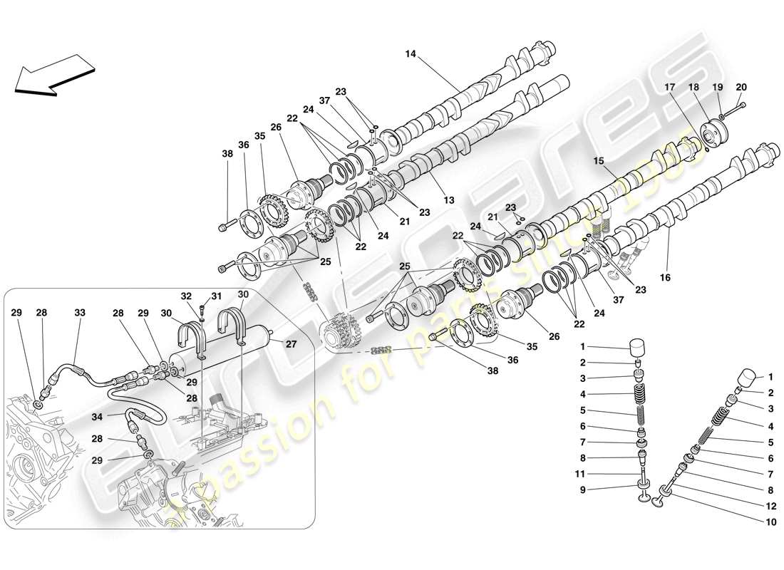 ferrari f430 spider (rhd) timing system - tappets part diagram