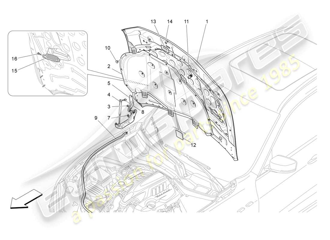 maserati levante trofeo (2020) front lid part diagram