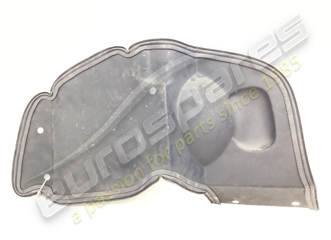 NEW Ferrari LH STONE GUARD GTS . PART NUMBER 61850000 (1)