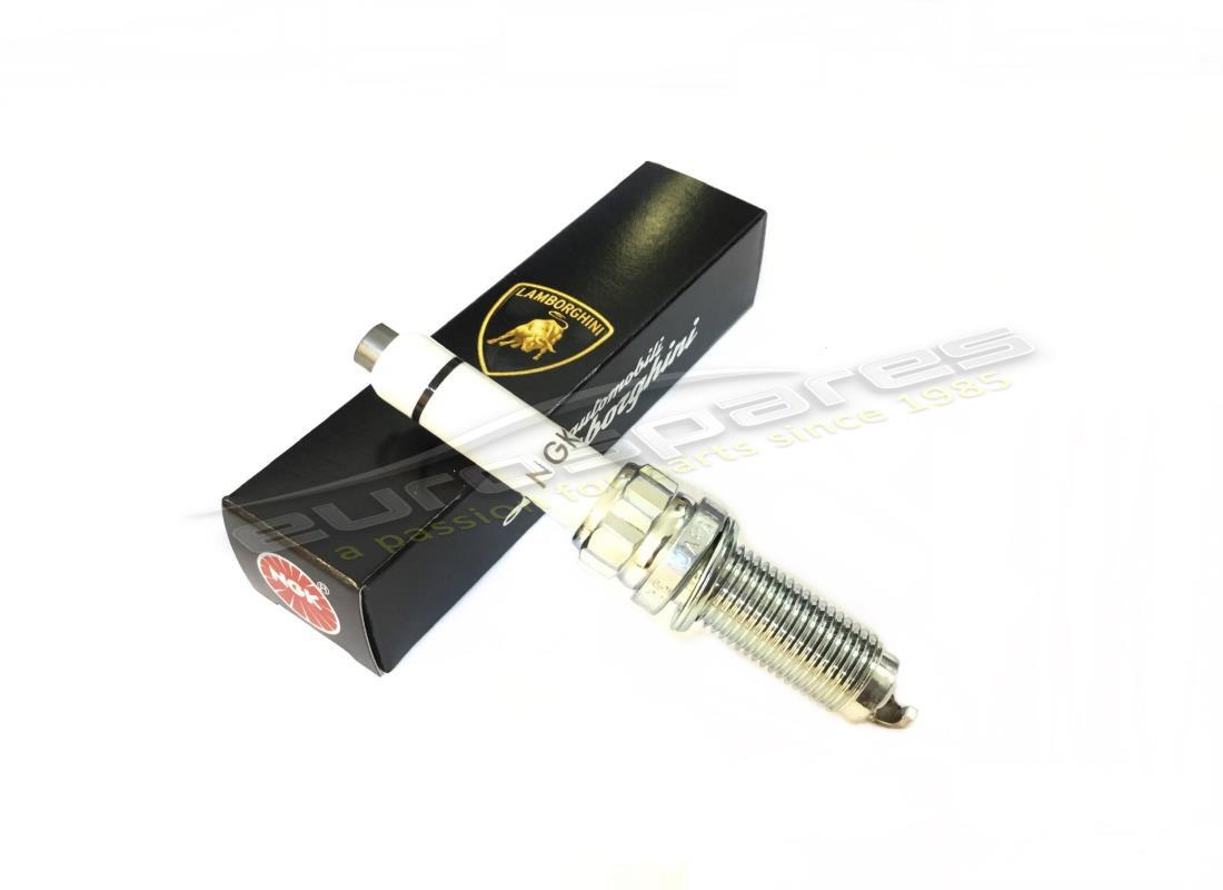 new lamborghini spark plug. part number 0p2905601a (1)