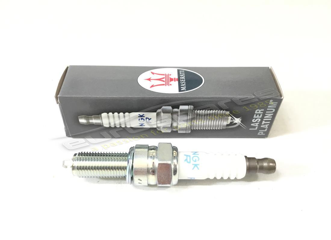 new maserati spark plug (ngk). part number 239242 (1)