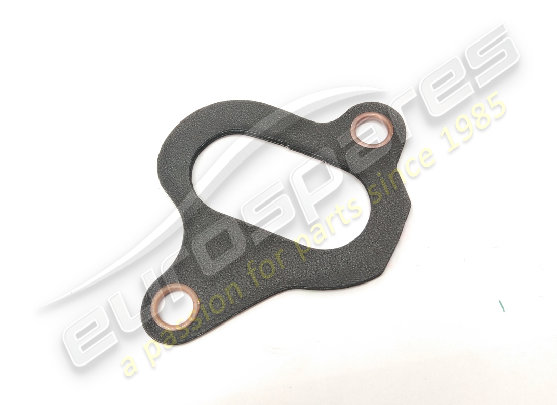 new oem gasket. part number 312020329 (2)