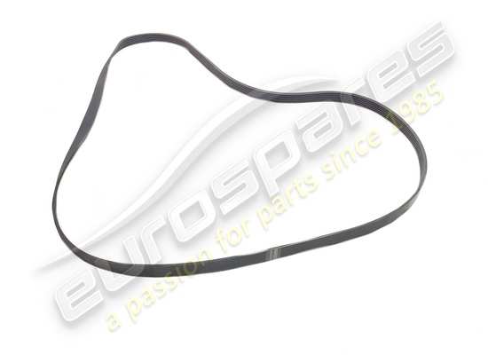 new ferrari belt part number 291236