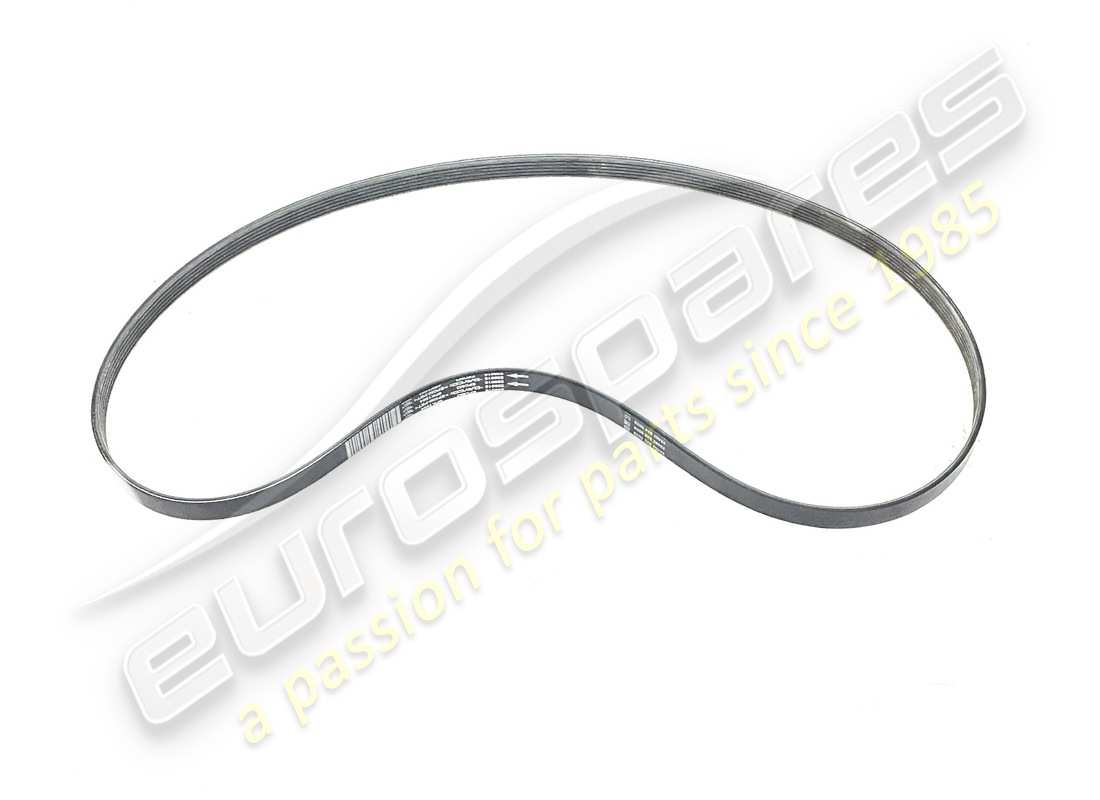 NEW Maserati AUXILIARY BELT . PART NUMBER 239616 (1)