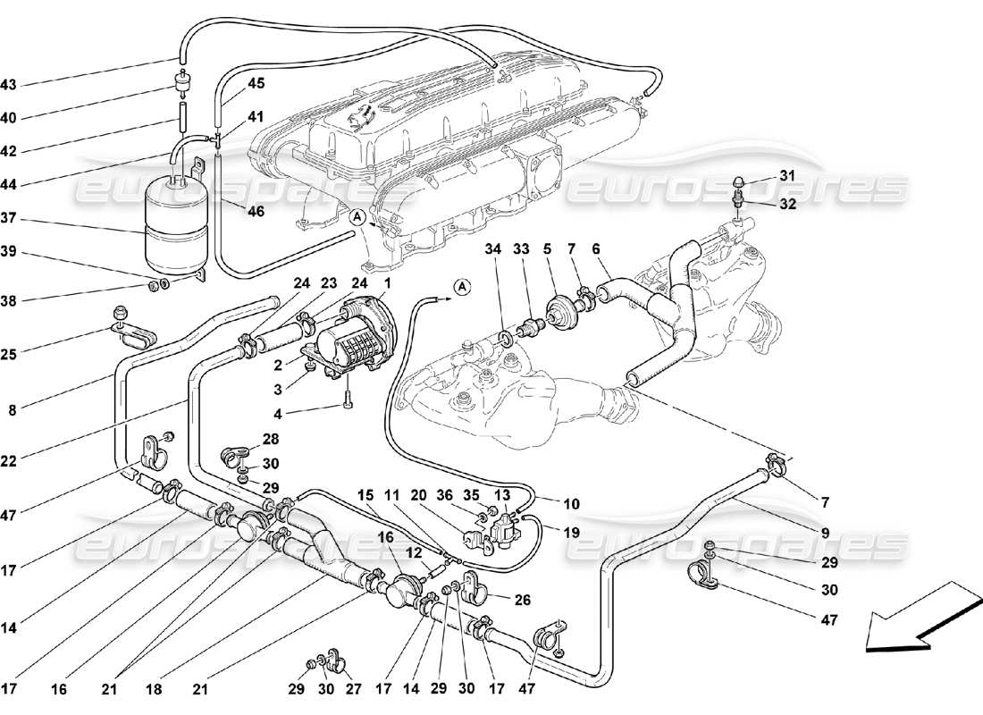 ferrari 550 maranello secondary air pump part diagram