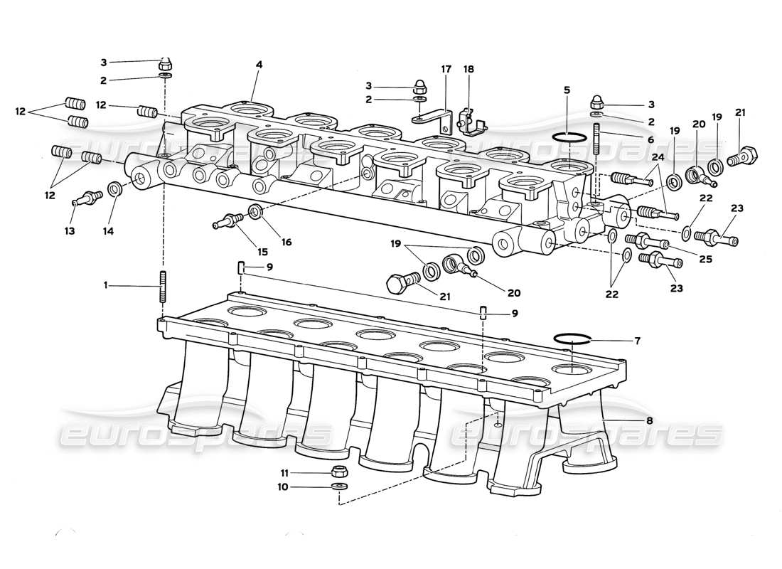 lamborghini diablo gt (1999) intake manifold part diagram