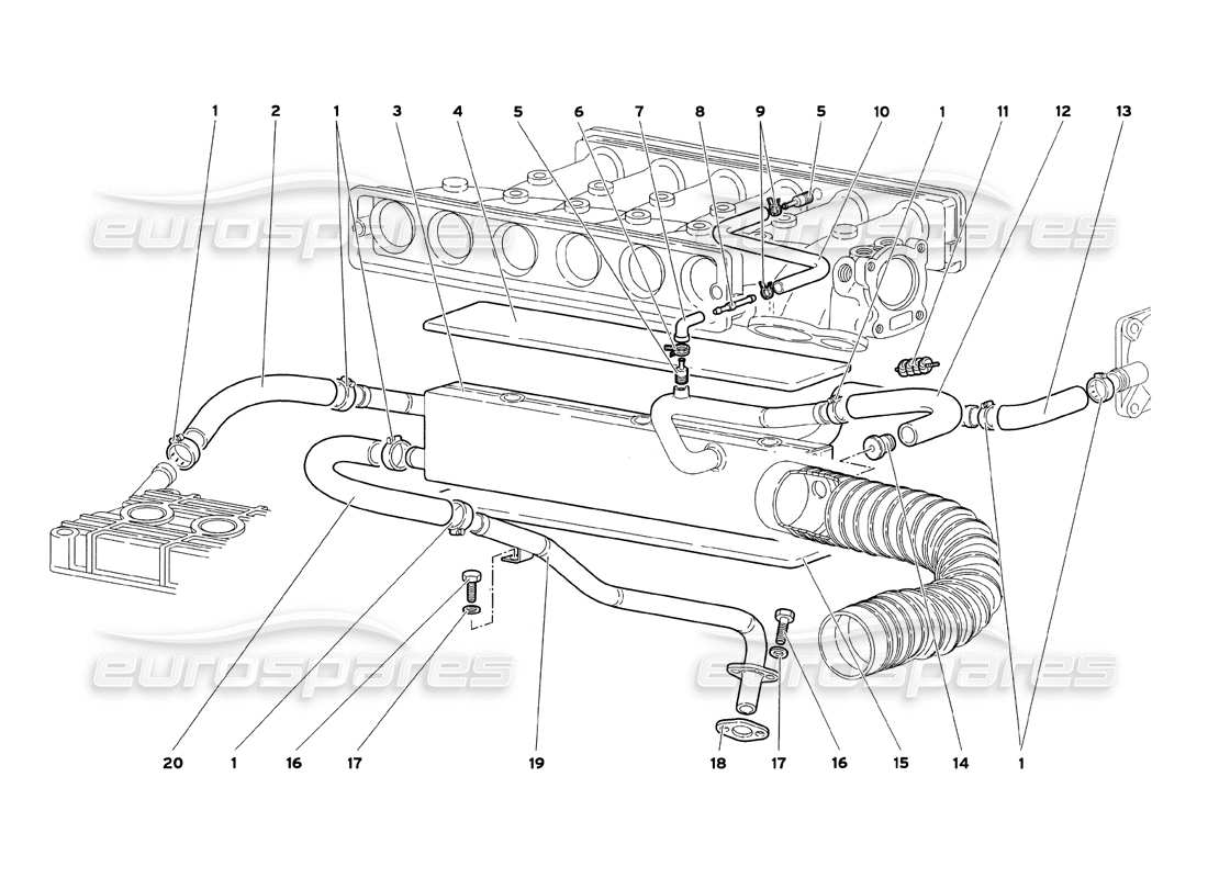 lamborghini diablo sv (1999) engine oil breathing system part diagram