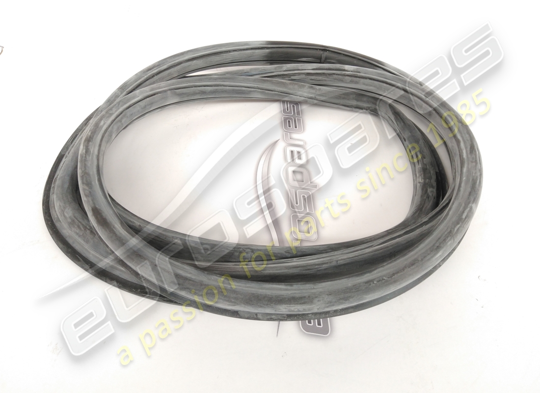 NEW (OTHER) Ferrari REAR SCREEN RUBBER . PART NUMBER 16307110 (1)