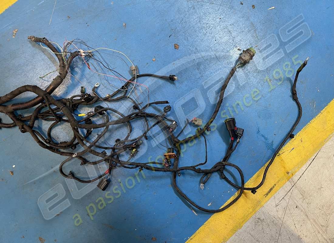 damaged ferrari body cable. part number 793877 (3)