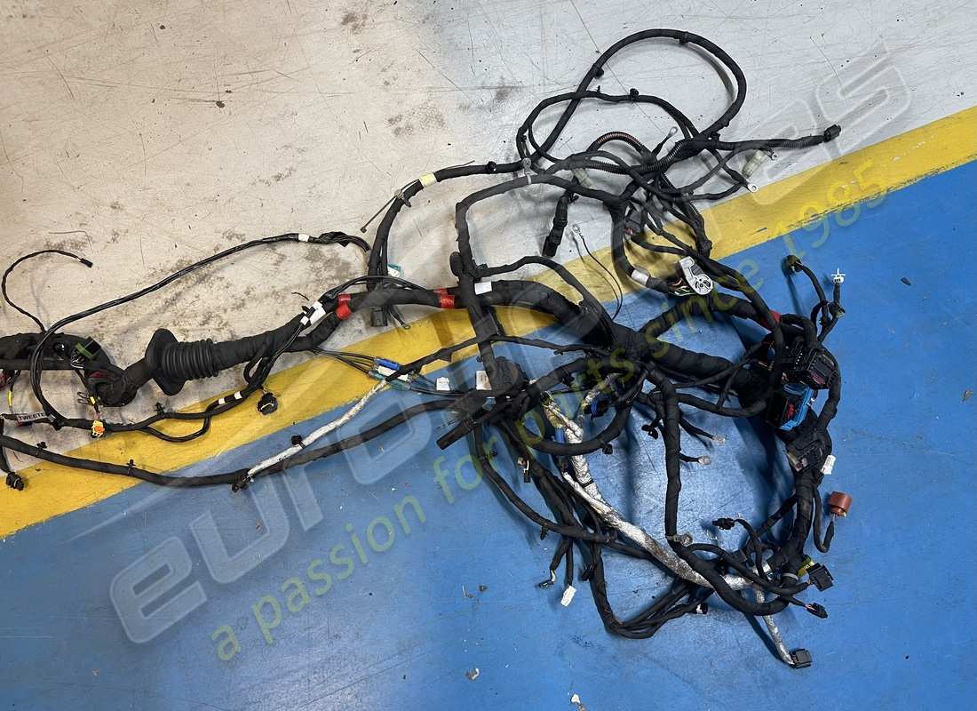 damaged ferrari body cable. part number 793877 (4)