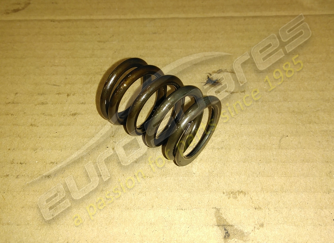 USED Ferrari OUTER VALVE SPRING . PART NUMBER 117559 (1)