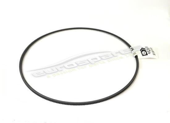 new ferrari alternator belt rh part number 117314